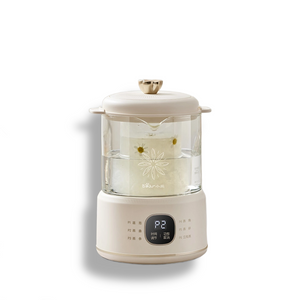 Smart Electric Health Kettle per Bird's Nest