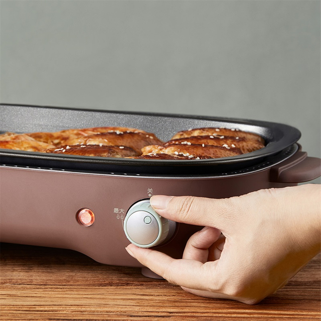 Griglia elettrica con piastra staccabile