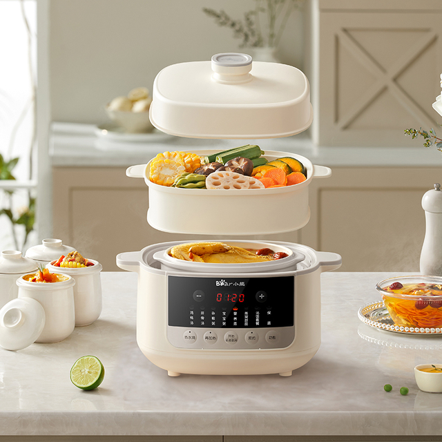 2,5 litri multifunzionali in stufato eletrico in porcellana bianca